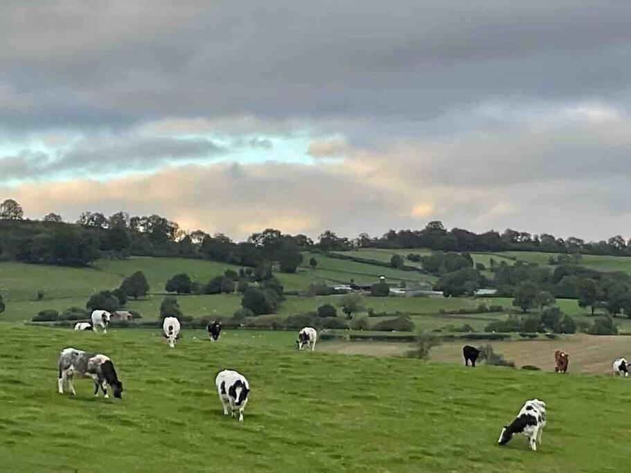 Farm Stay Caravan On Working Farm Dacre  Luaran gambar