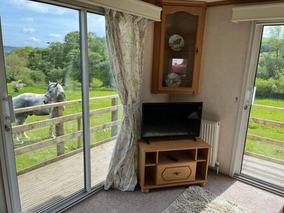 Farm Stay Caravan On Working Farm Dacre  Luaran gambar